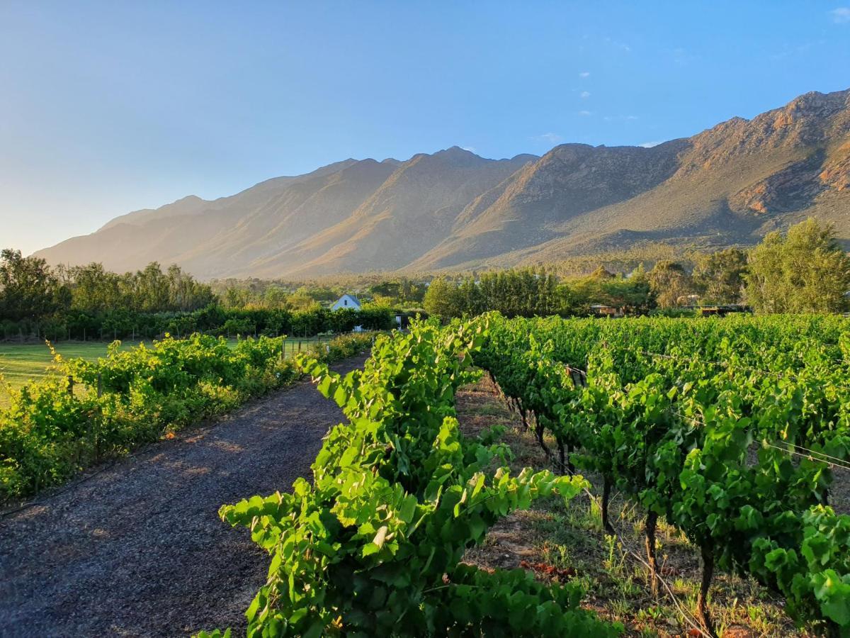 Hotel Klein Nektar Wine&Olive Estate Montagu Exterior foto