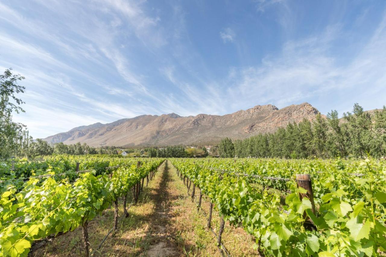 Hotel Klein Nektar Wine&Olive Estate Montagu Exterior foto