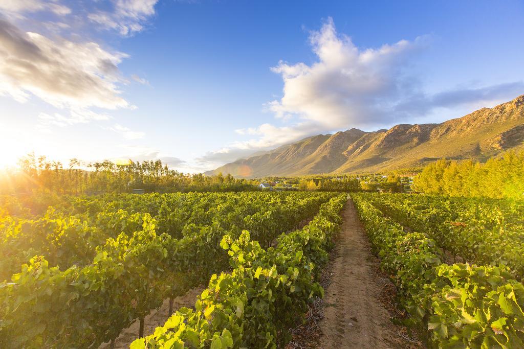 Hotel Klein Nektar Wine&Olive Estate Montagu Exterior foto